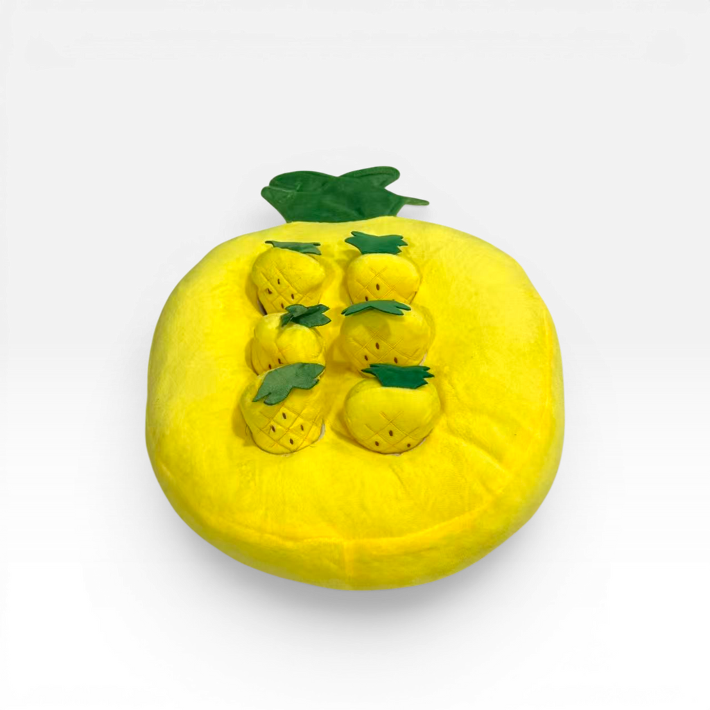 Pineapple Snuffle Toy