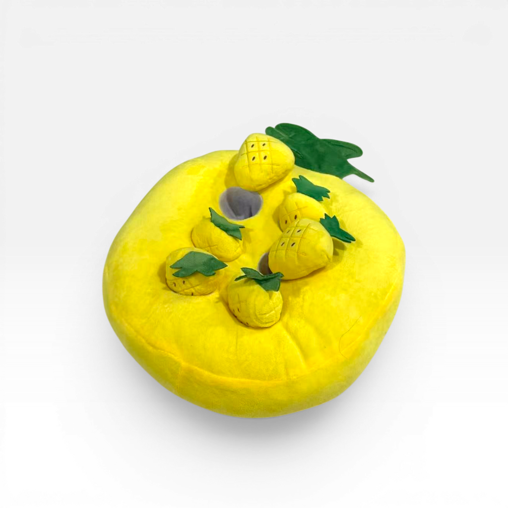 Pineapple Snuffle Toy