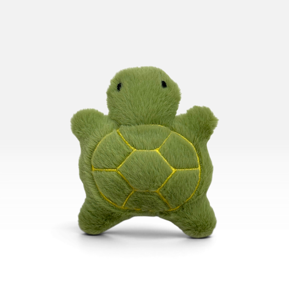 sea turtle