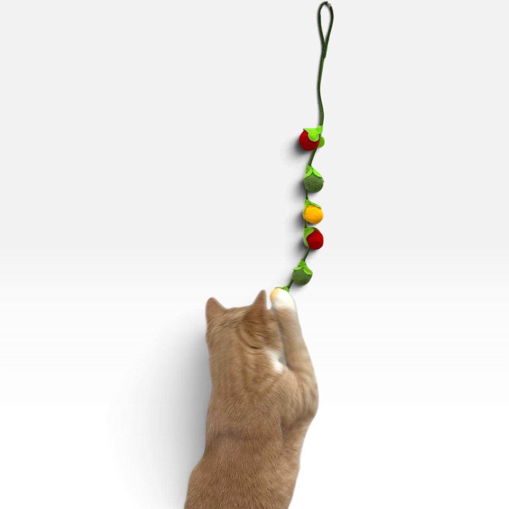 Tomato Vine Bell Cat Toy